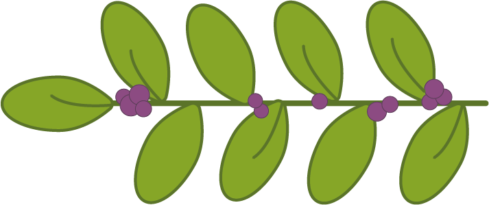 leaves