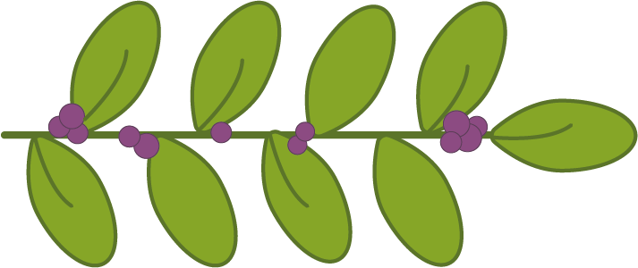 leaves
