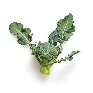 Broccoli-mockup-graphics-unsplash